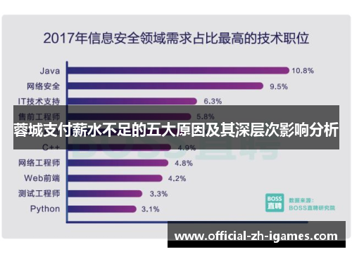 蓉城支付薪水不足的五大原因及其深层次影响分析 蓉城支付薪水不足的五大原因及其深层次影响分析