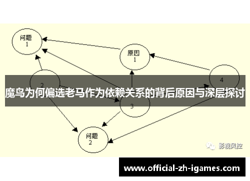 魔鸟为何偏选老马作为依赖关系的背后原因与深层探讨